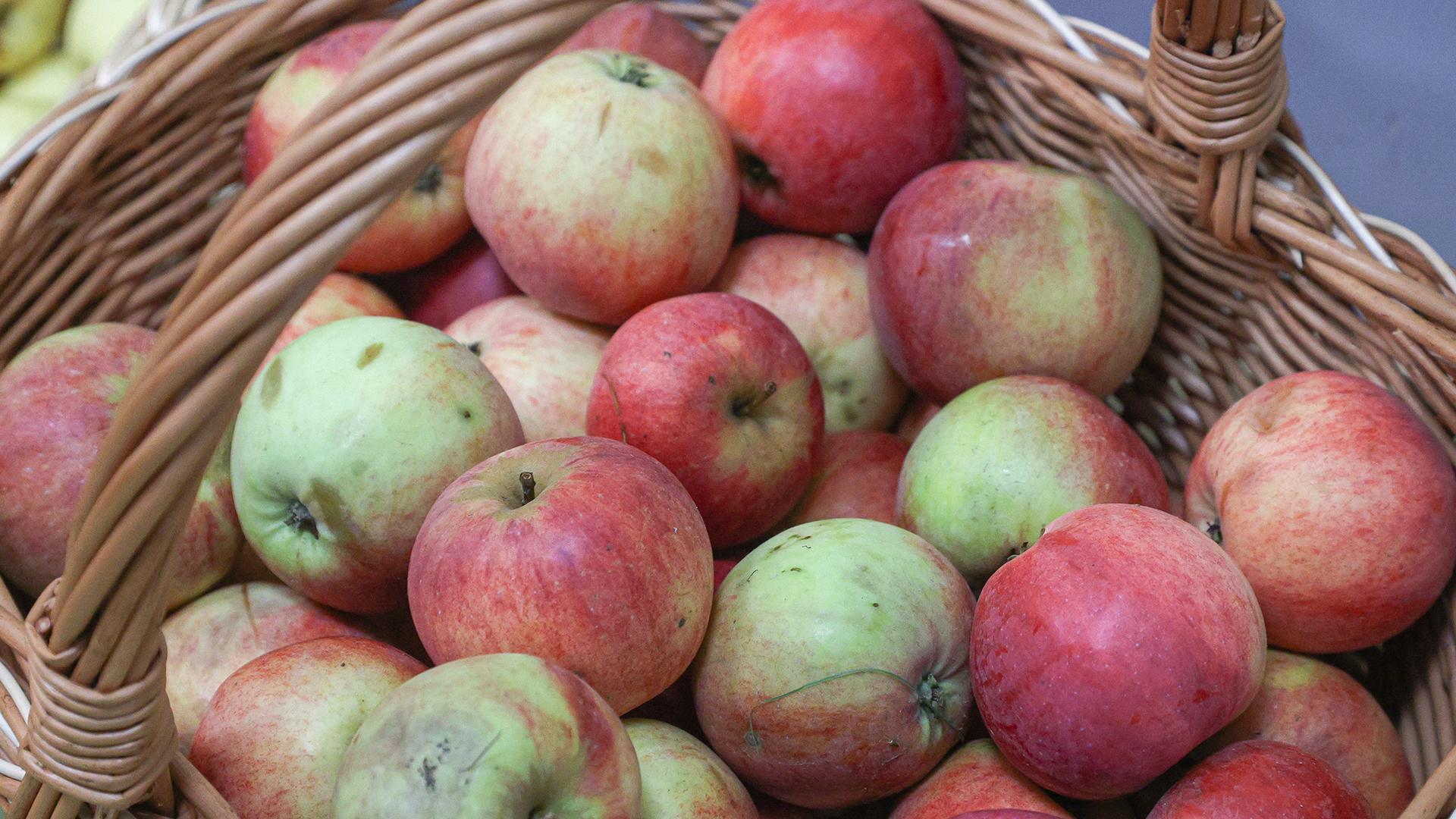 Фото: Bulkin Sergey globallookpress.com