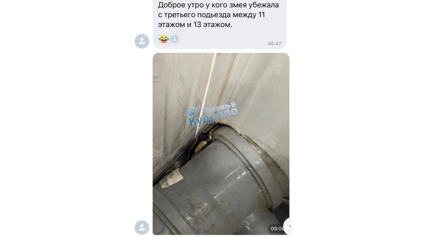 Фото: t.me telekudrovo