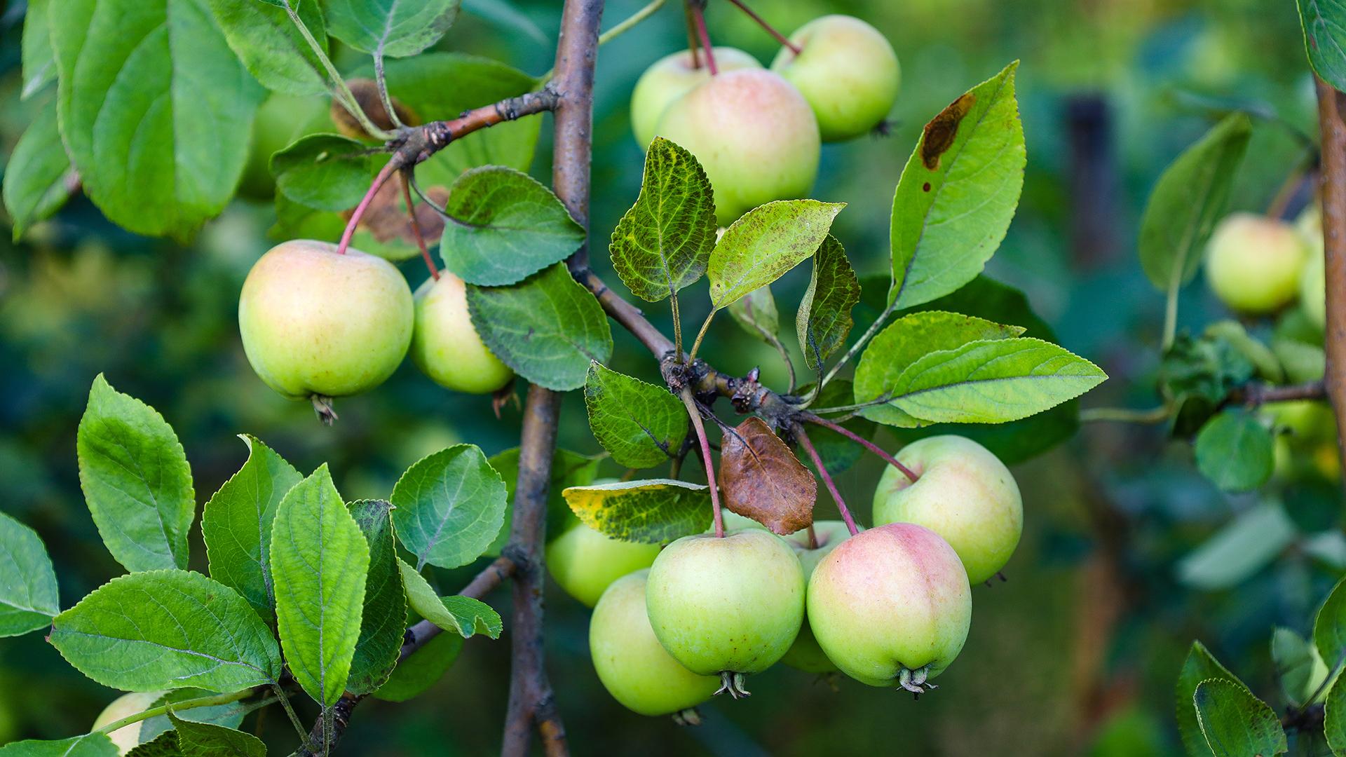 Фото: Elena Mayorova globallookpress.com