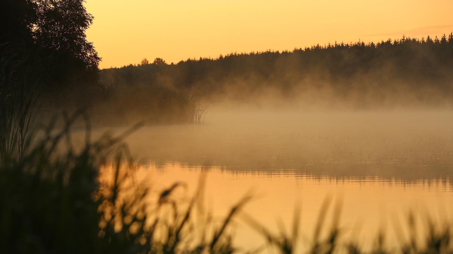 Фото: Matthias Bein globallookpress.com