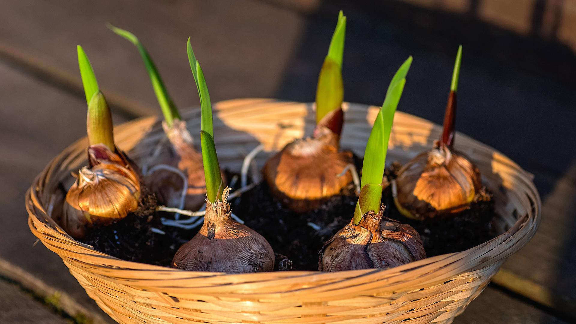 Фото: IMAGO Zoonar.com Elena Grishina globallookpress.com