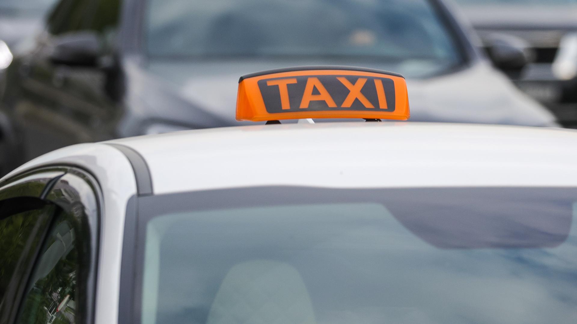 Фото: Shatokhina Natalia globallookpress.com