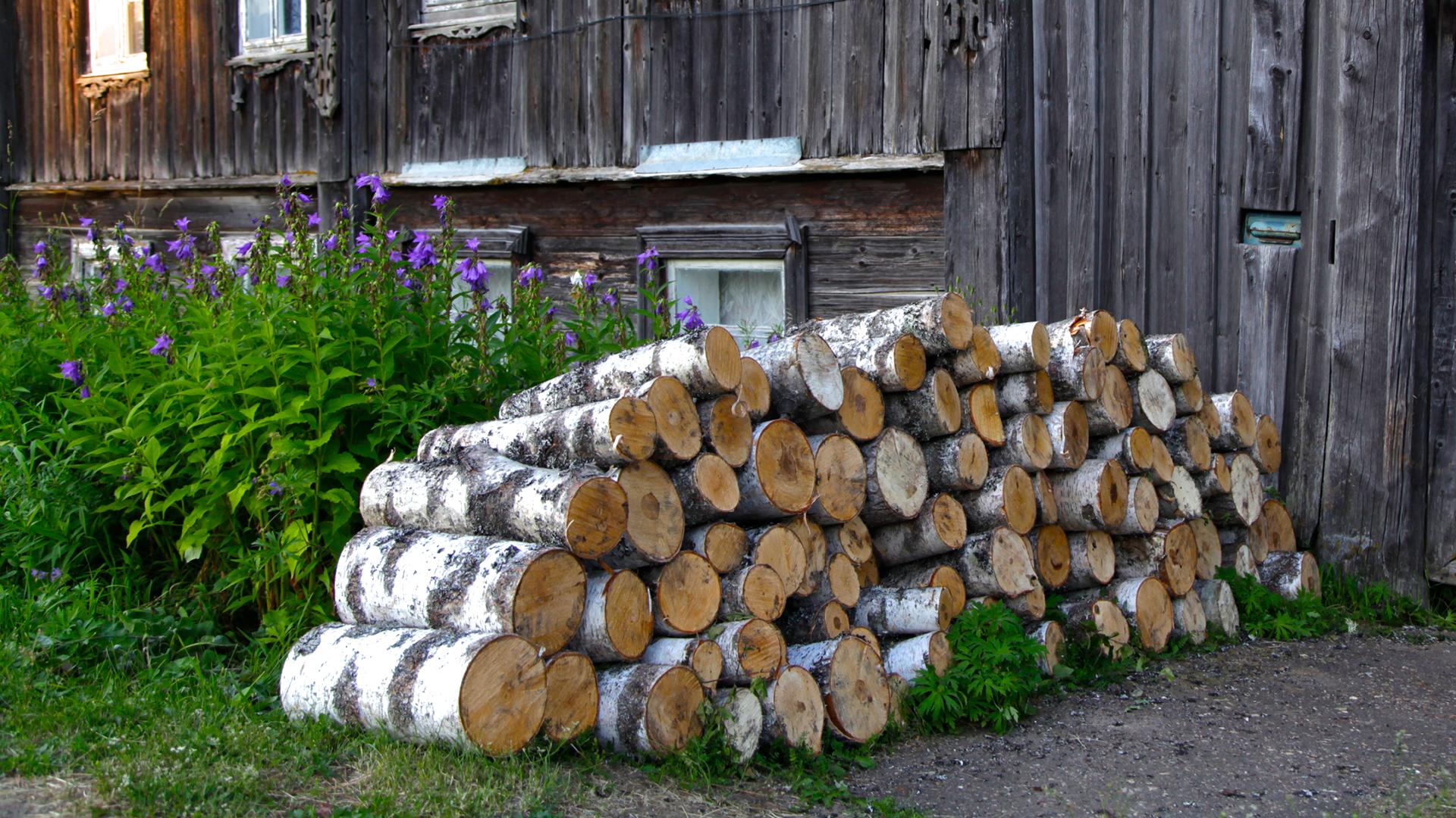 Фото: Aleksander Lyskin globallookpress.com