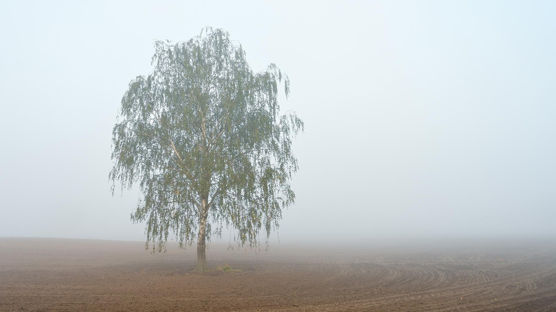 Фото: Patrick Pleul globallookpress.com