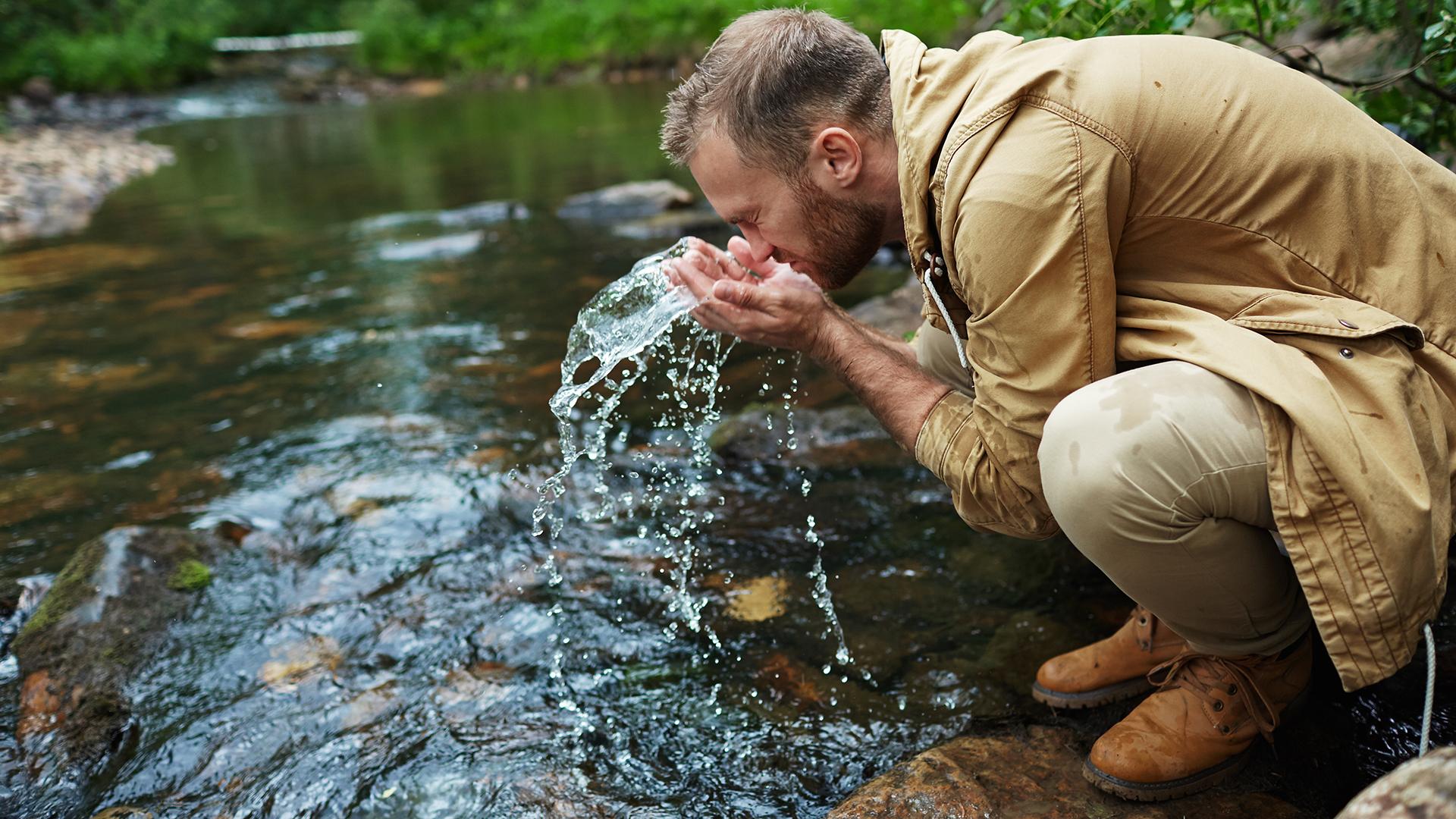 Фото: freepik.com pressfoto