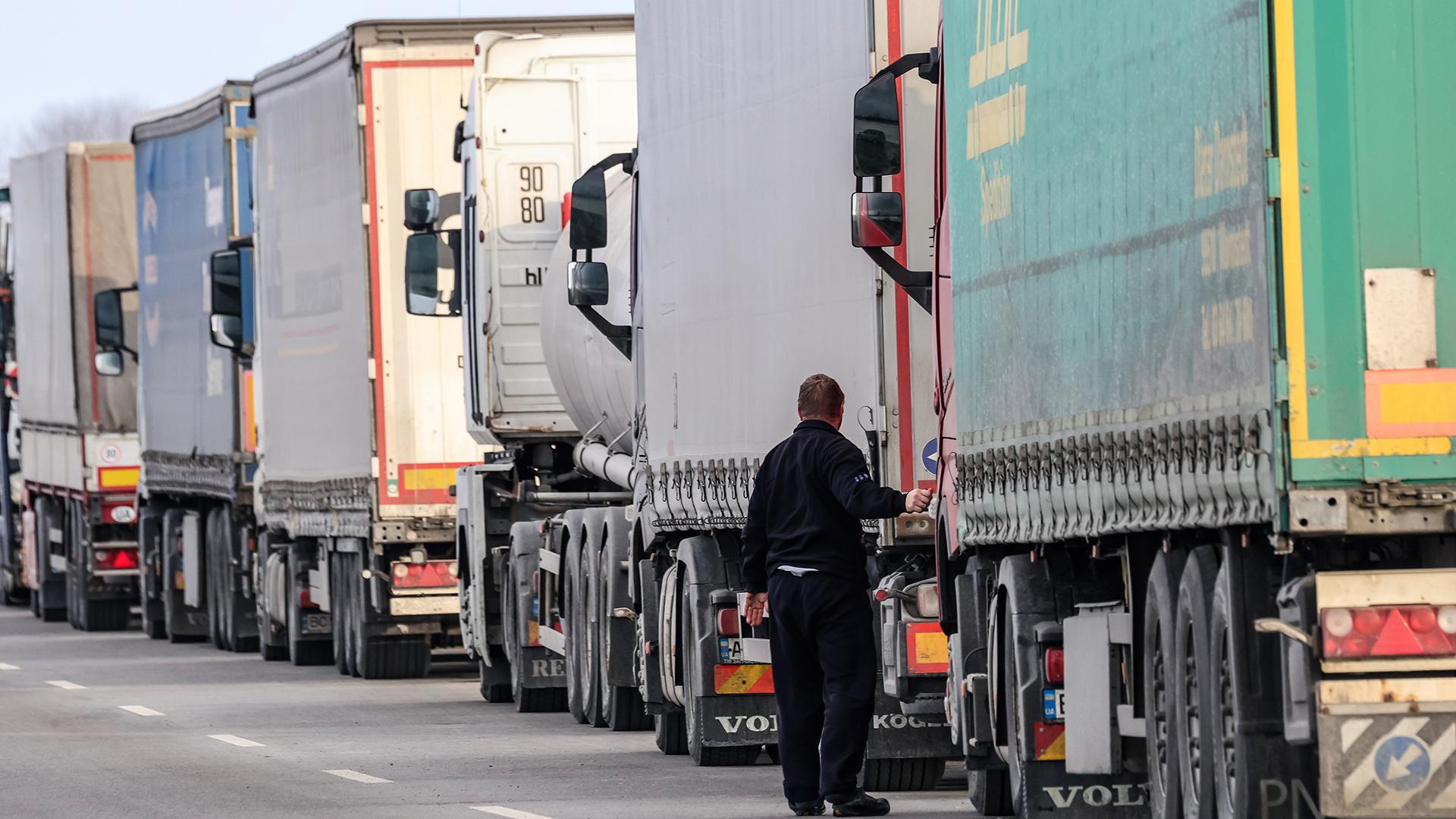 Фото: Dominika Zarzycka globallookpress.com