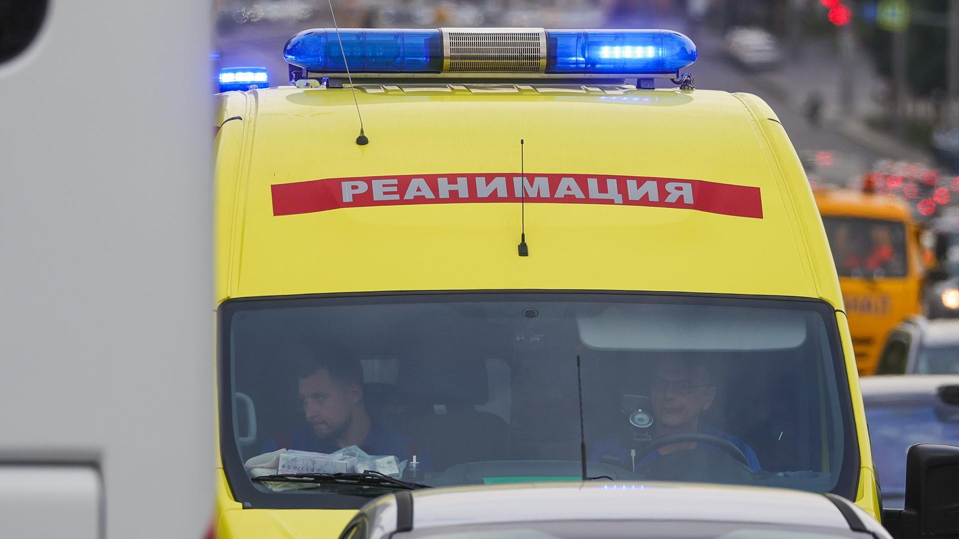 Фото: Shatokhina Natalia globallookpress.com