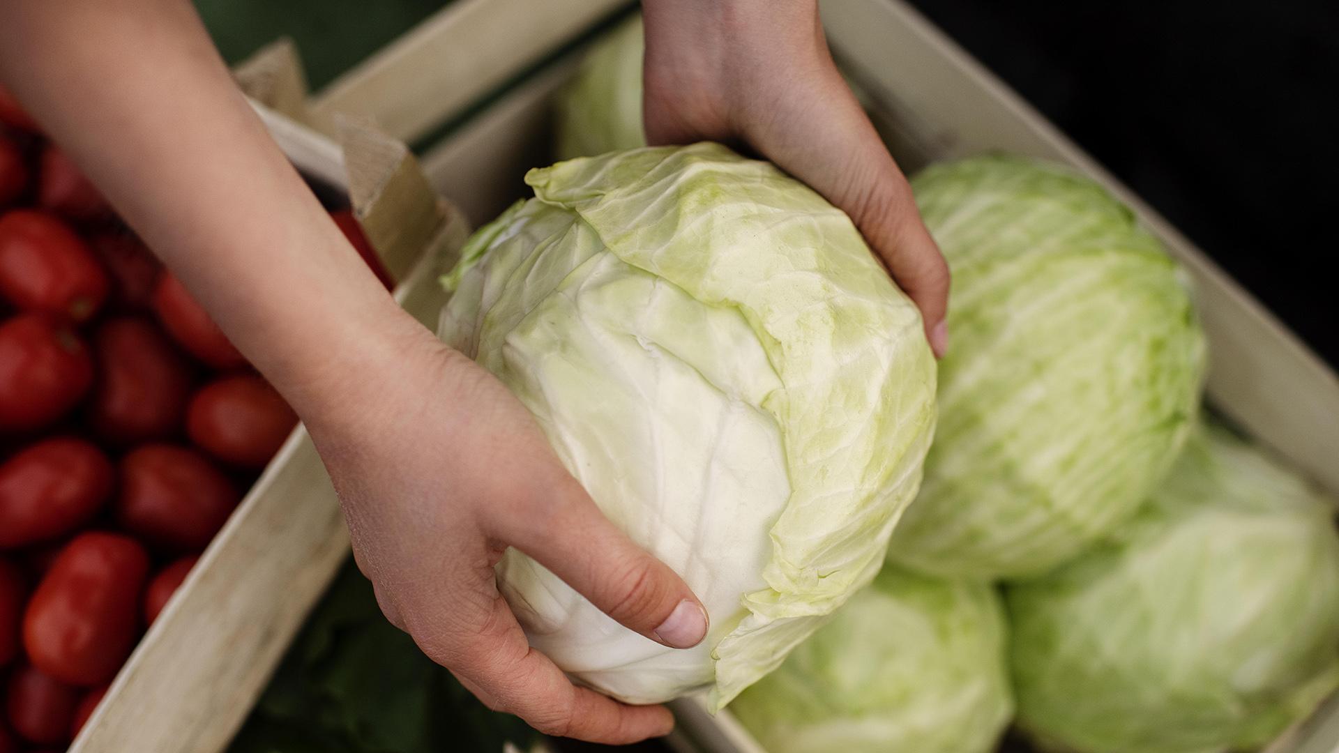 Фото: freepik.com