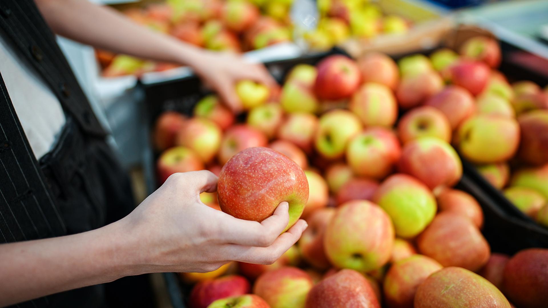 Фото: ИЗВЕСТИЯ Сергей Лантюхов