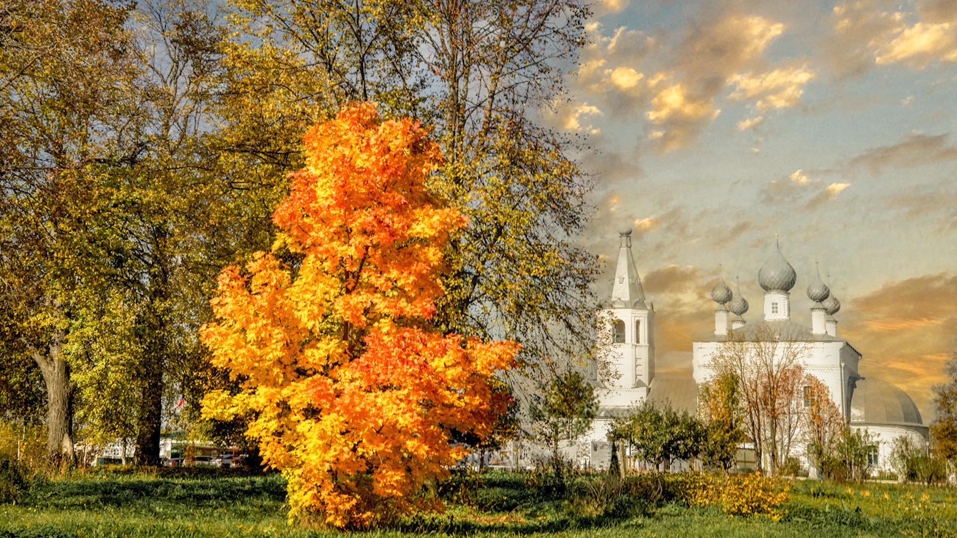 Фото: Sergey Metelitsa globallookpress.com