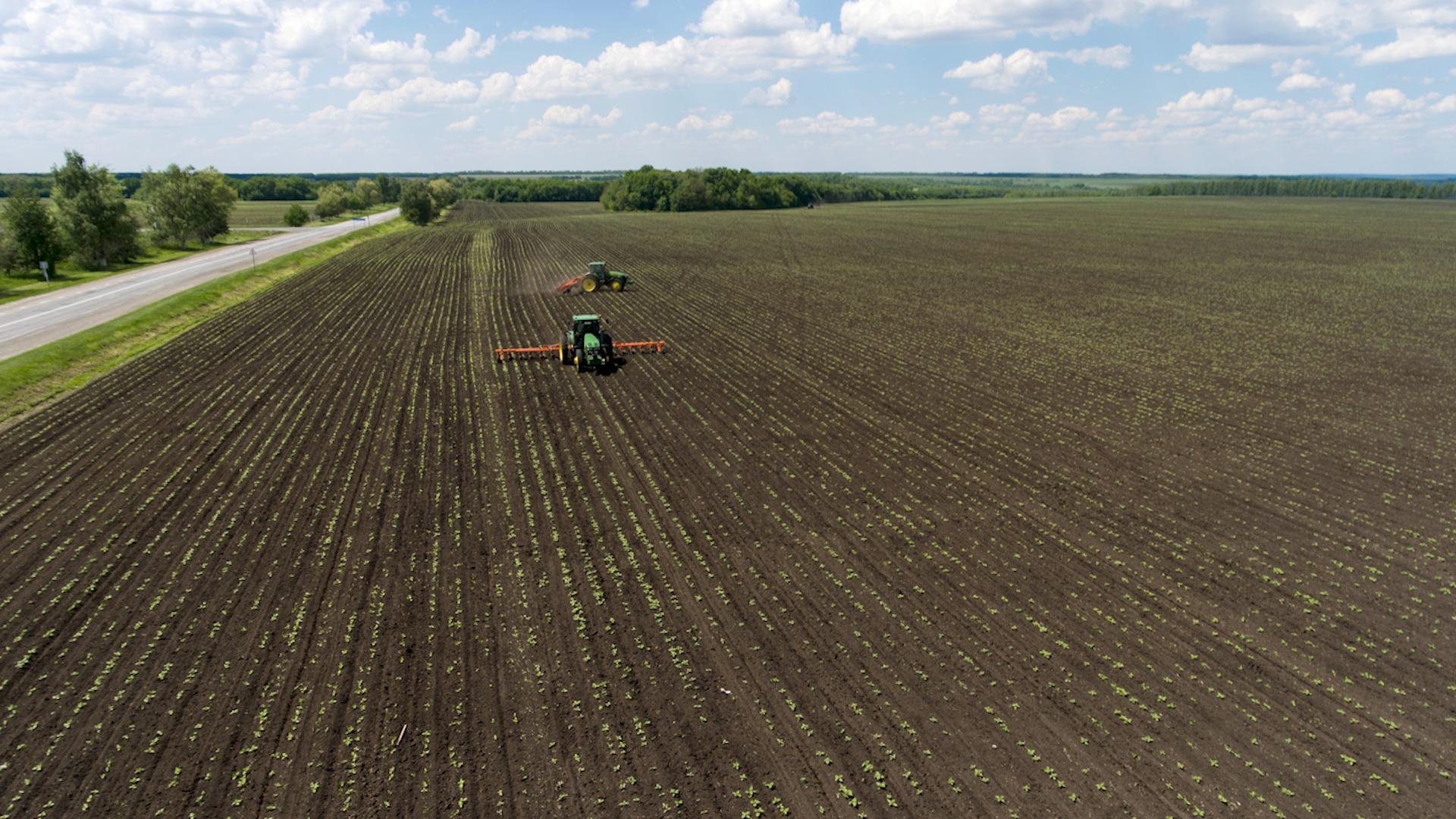 Фото: Nikolay Gyngazov globallookpress.com