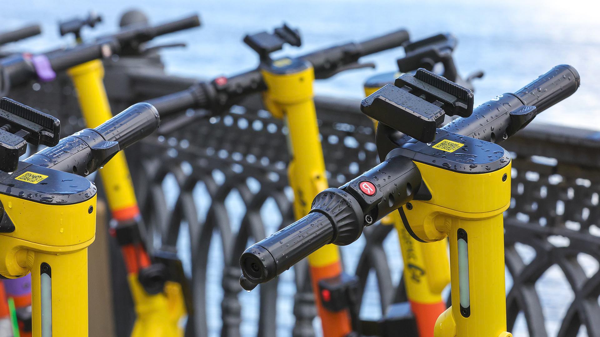 Фото: Shatokhina Natalia globallookpress.com