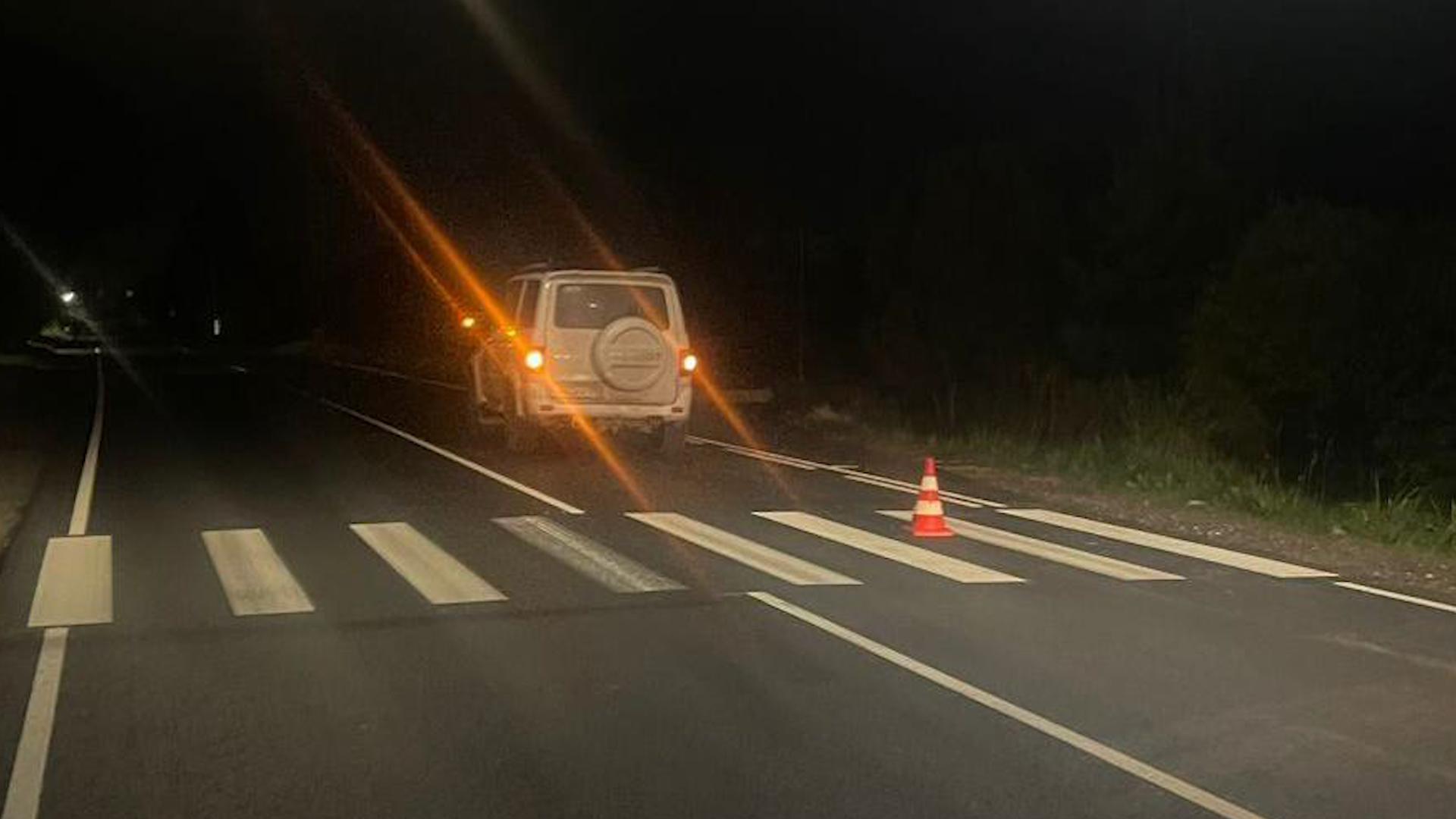 Фото: пресс-служба ГУ МВД России по Санкт-Петербургу и Ленинградской области