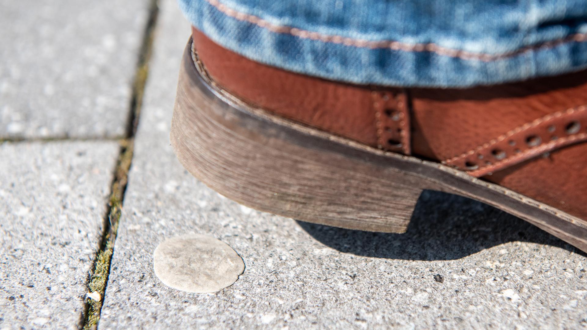 Фото: Caroline Seidel globallookpress.com