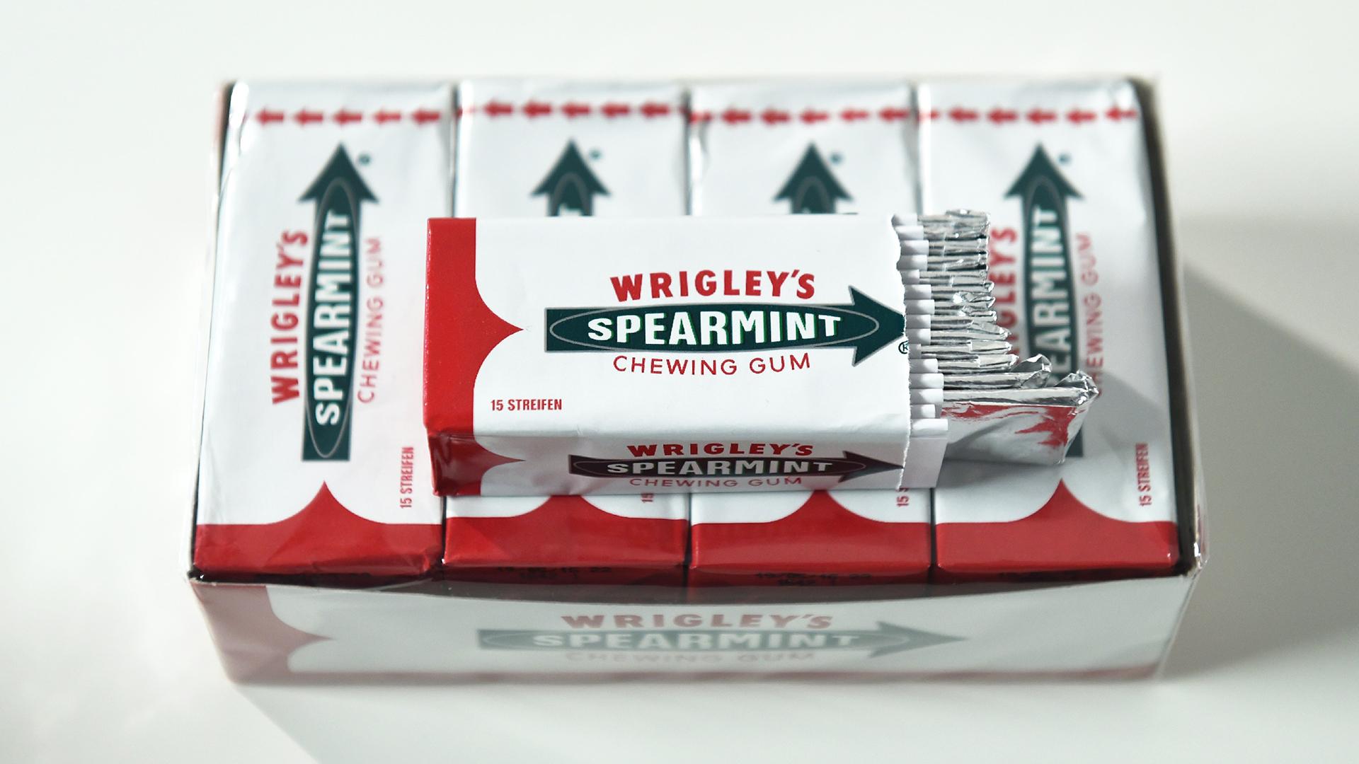 Фото: Jens Kalaene ZB globallookpress.com