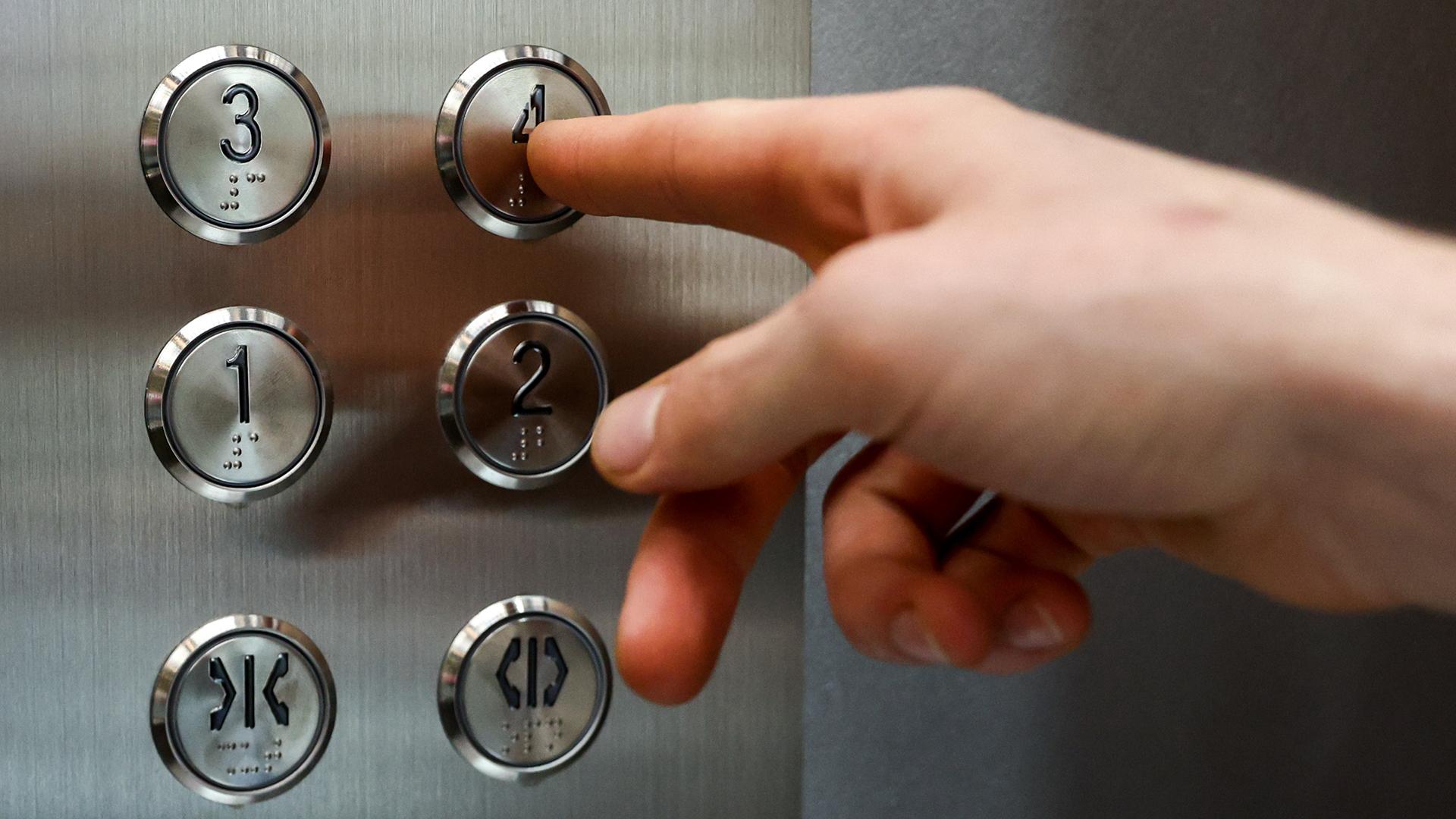 Фото: Shatokhina Natalya globallookpress.com