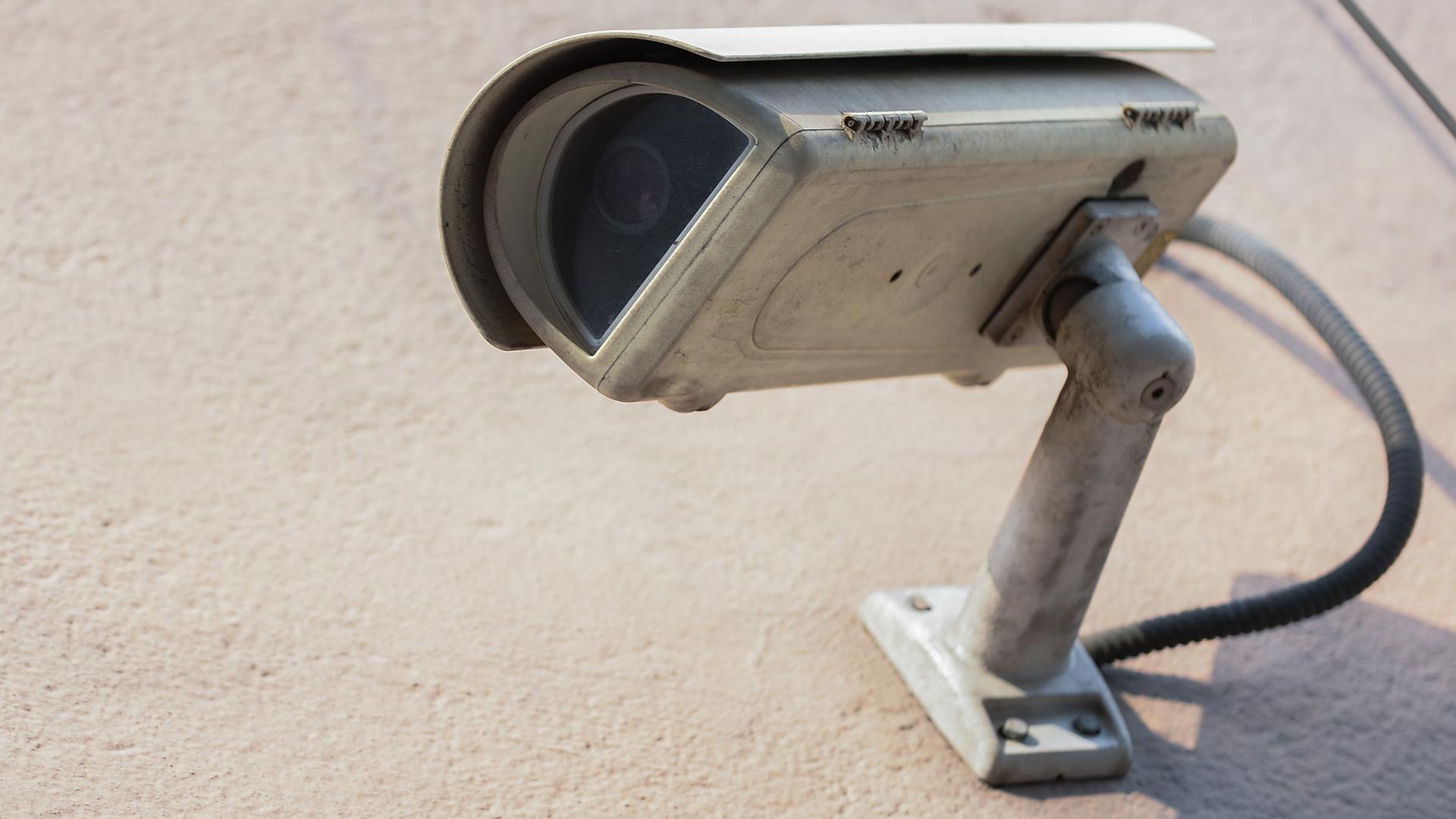 Фото: Omar Marques globallookpress.com