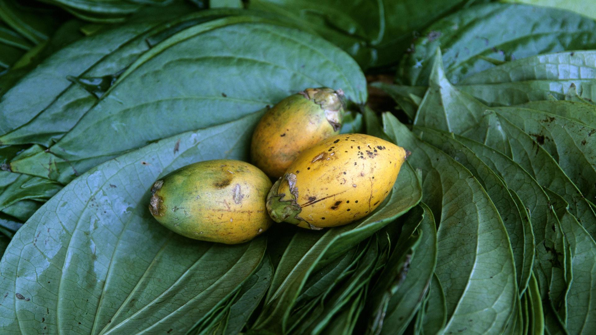 Фото: Katja Kreder globallookpress.com