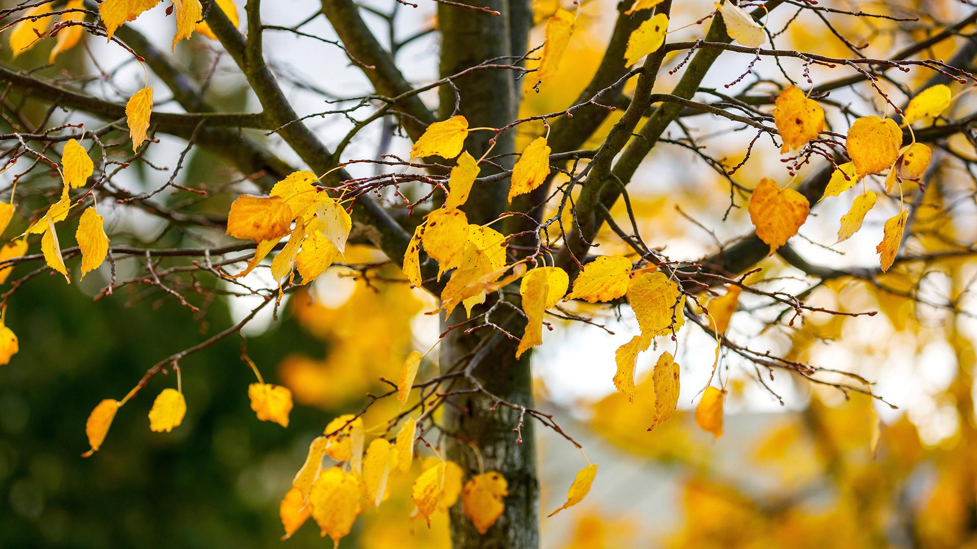 Фото: IMAGO globallookpress.com