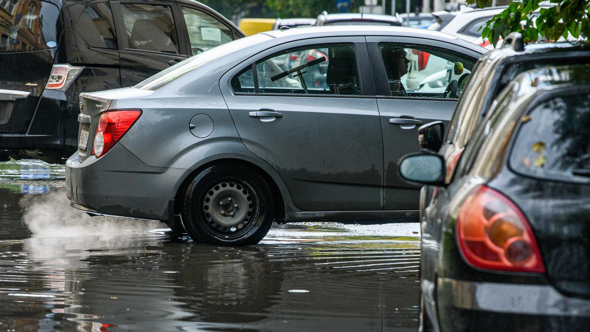 Фото: Ilya Moskovets globallookpress.com