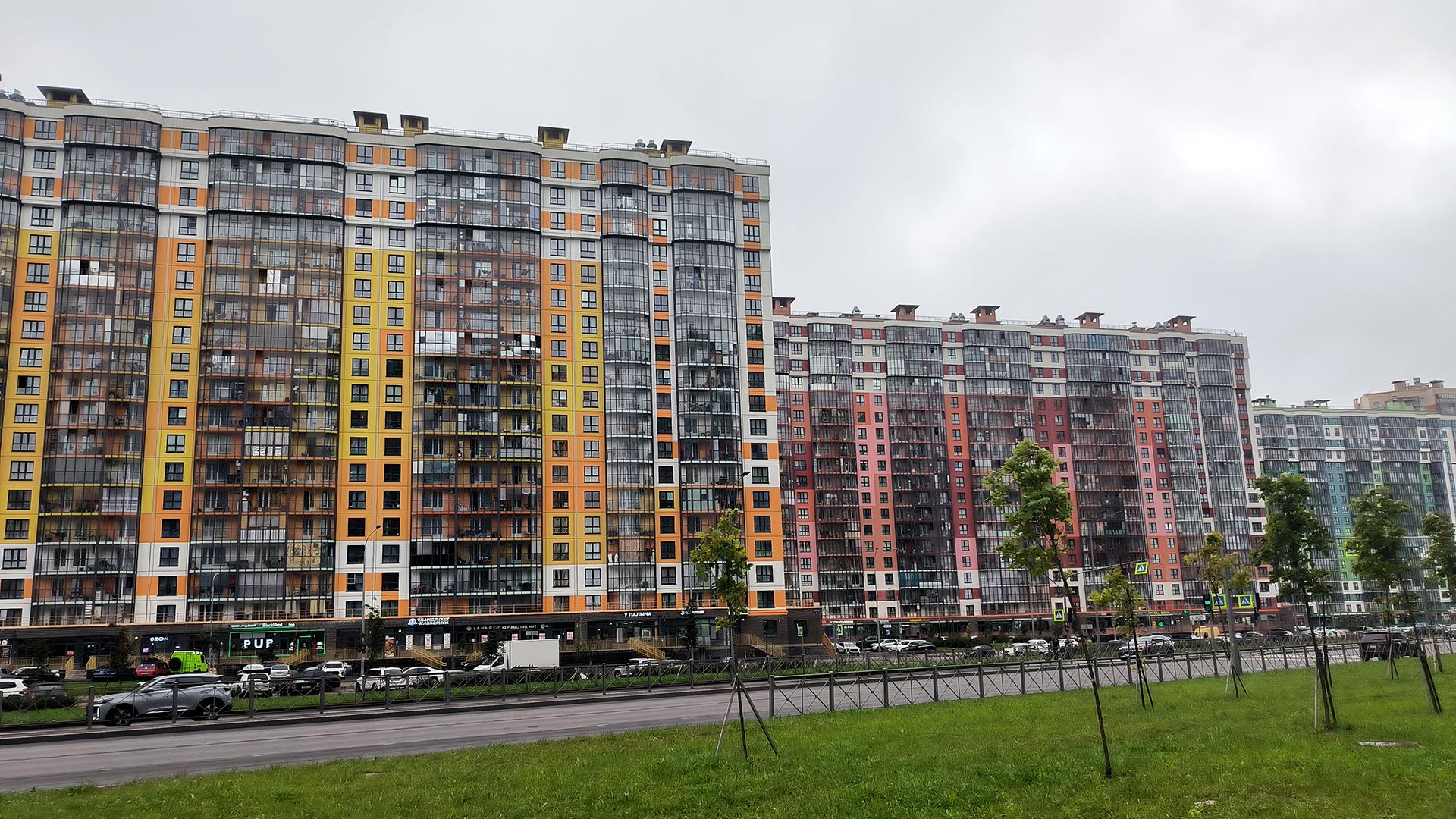 Фото: Maksim Konstantinov globallookpress.com