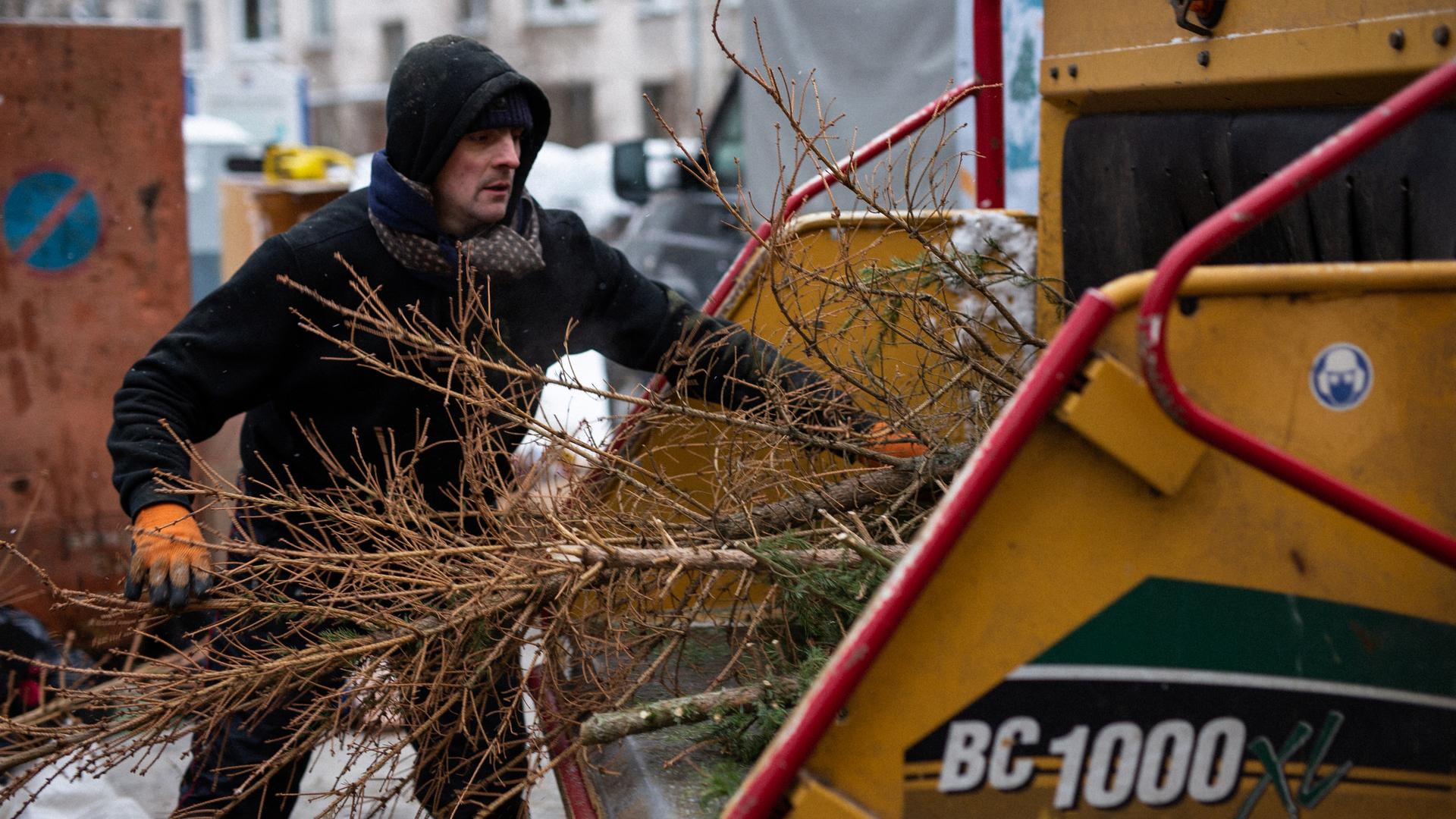 Фото: vk.com elki_palki_zchepa