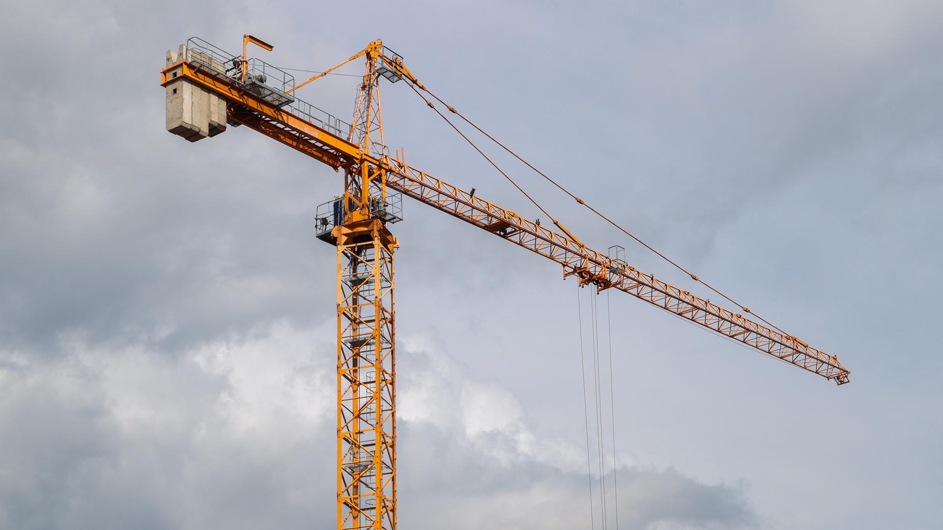 Фото: Belkin Alexey globallookpress.com