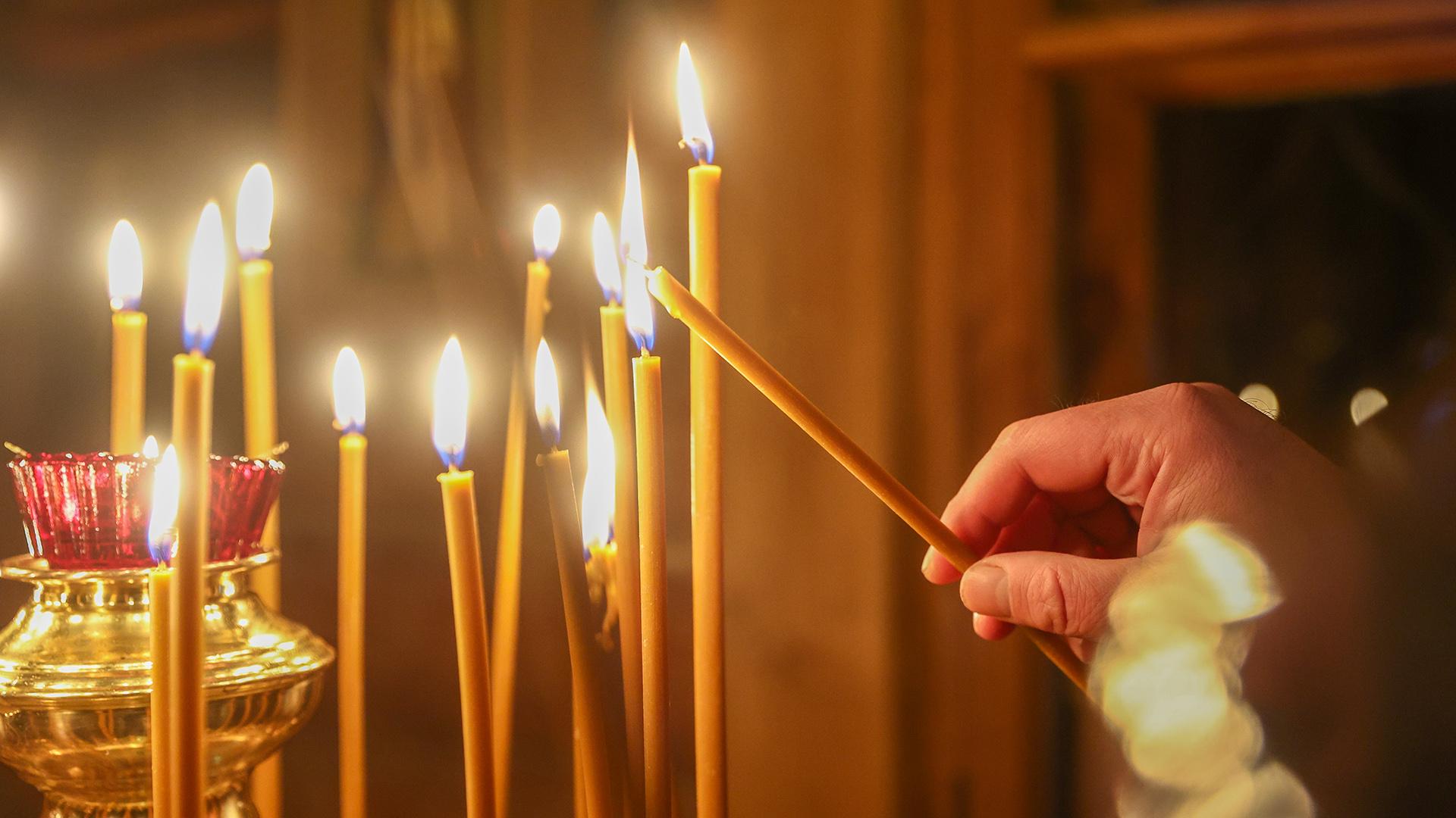 Фото: Shatokhina Natalia globallookpress.com