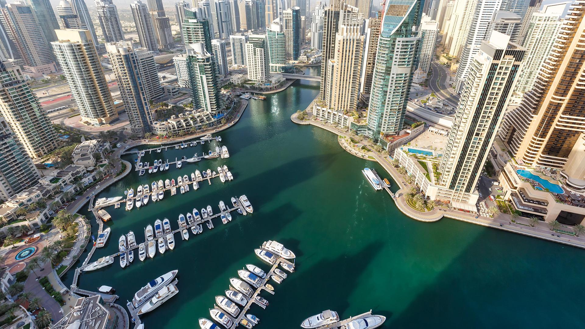 Фото: Markus Mainka globallookpress.com