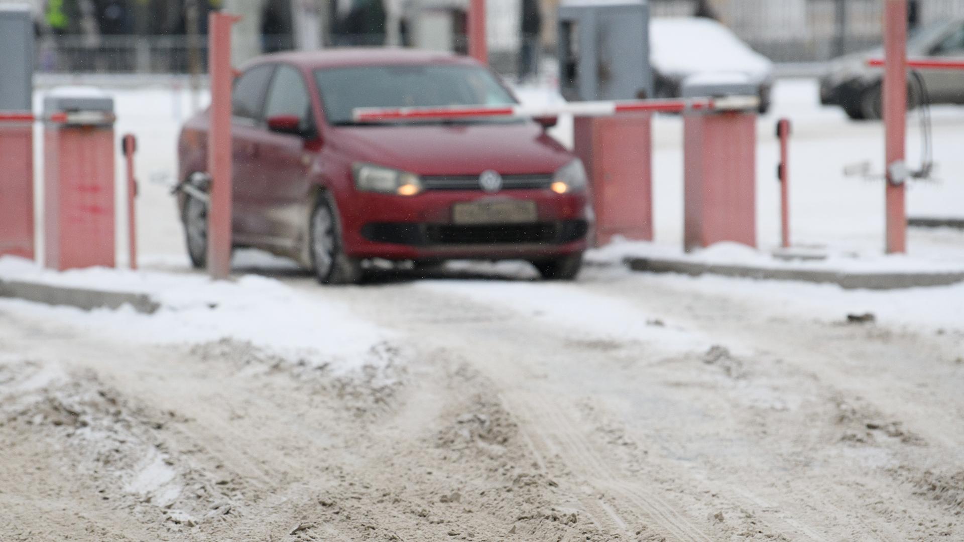 Фото: Ilya Moskovets globallookpress.com