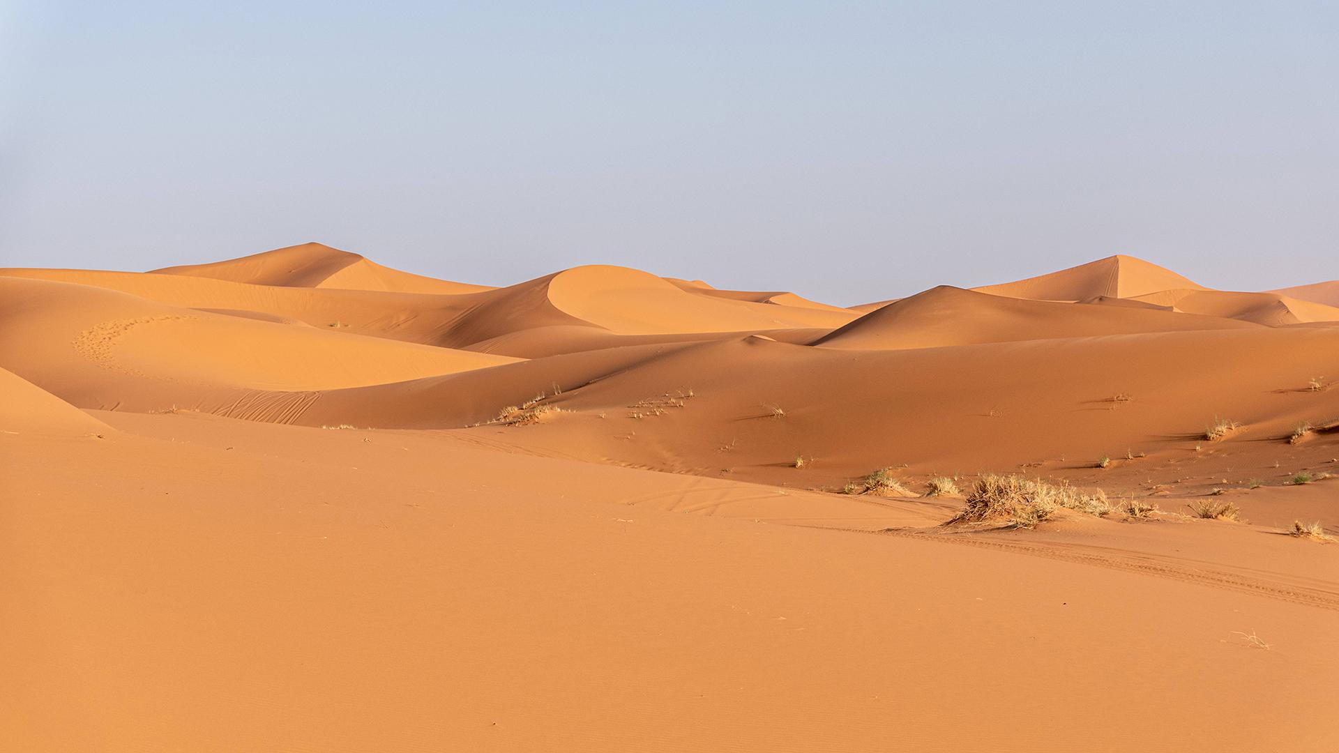 Фото: Zoonar.com imagoDens globallookpress.com