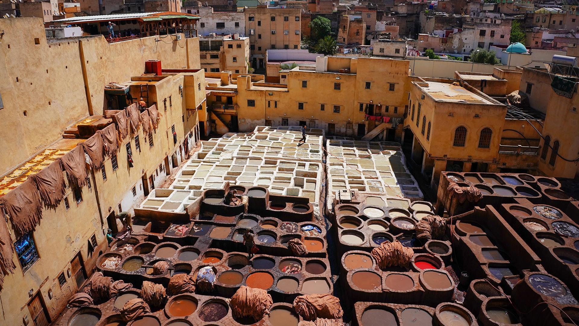 Фото: Jasmine Leung globallookpress.com