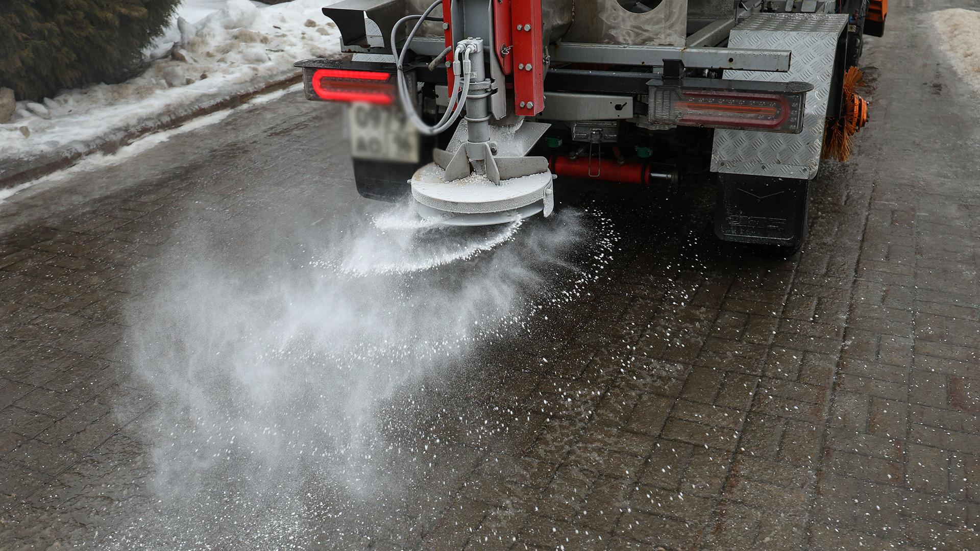 Фото: Andrey Titov globallookpress.com