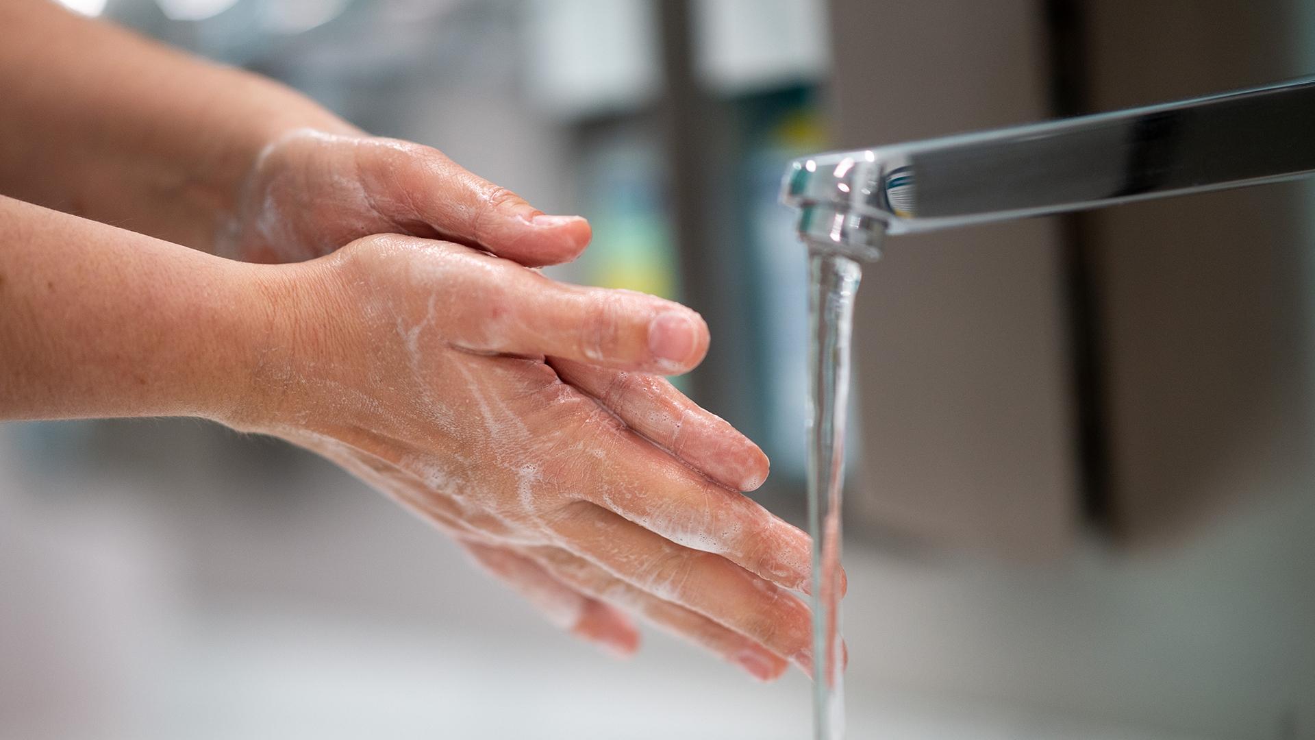 Фото: Jonas Güttler globallookpress.com