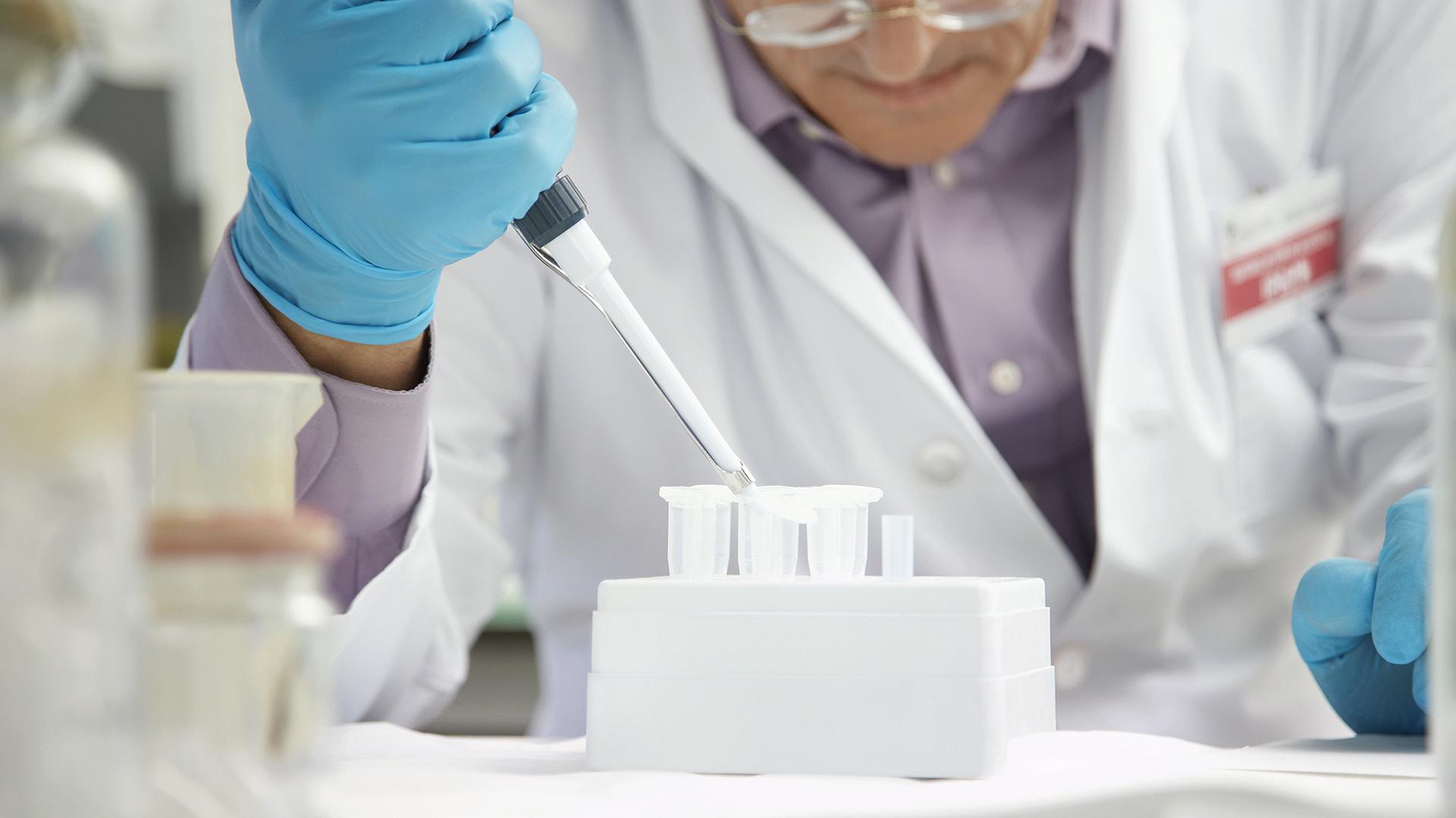 Фото: David Oxberry  globallookpress.com