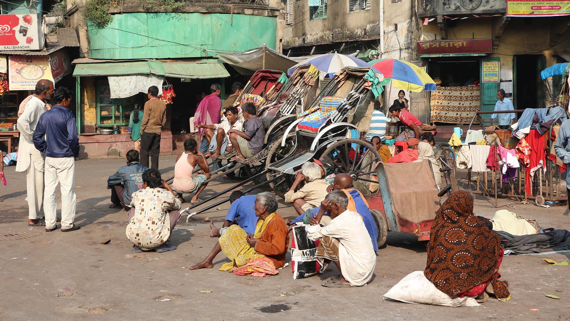 Фото: wikimedia.org Bernard Gagnon; CC BY-SA 3.0