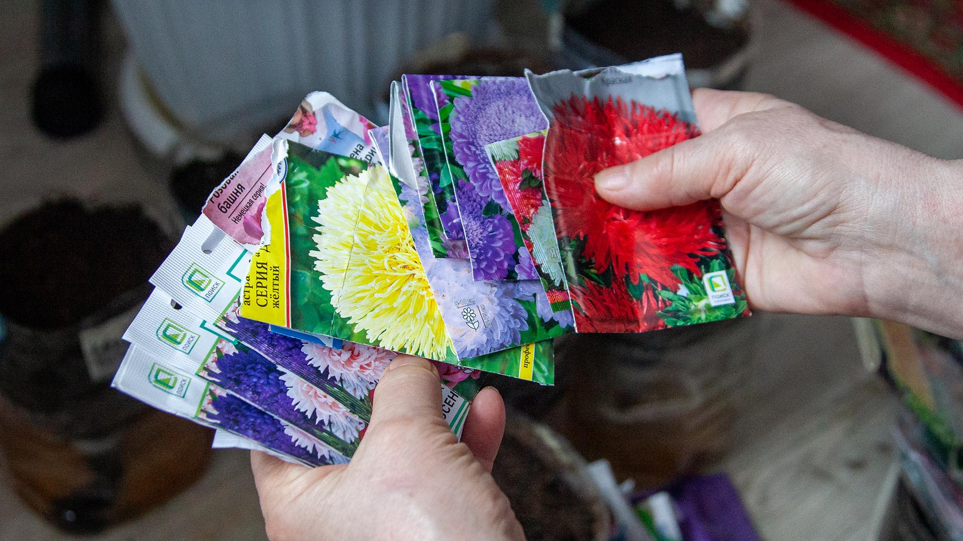 Фото: Oksana Korol globallookpress.com