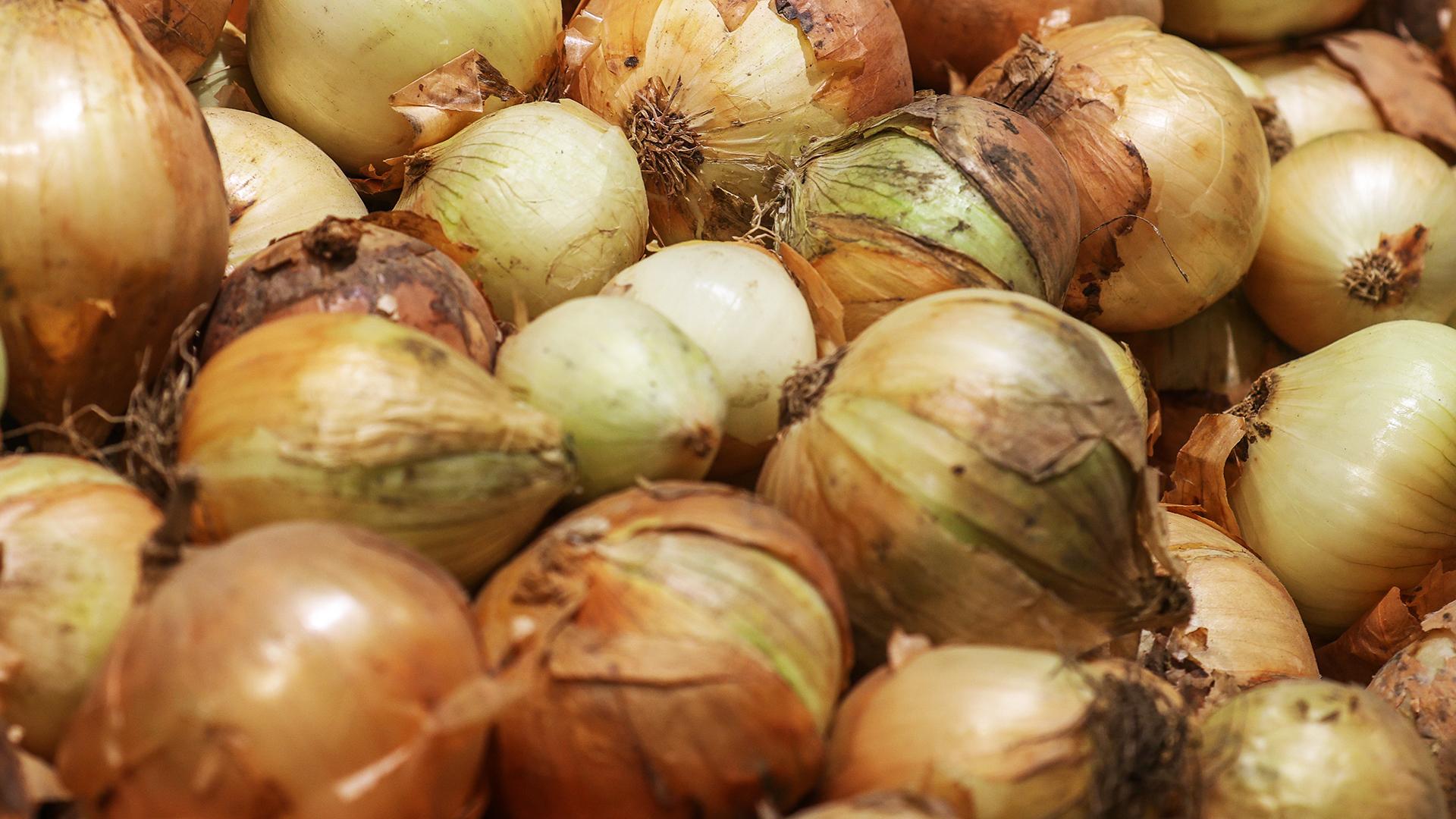 Фото: Bulkin Sergey globallookpress.com