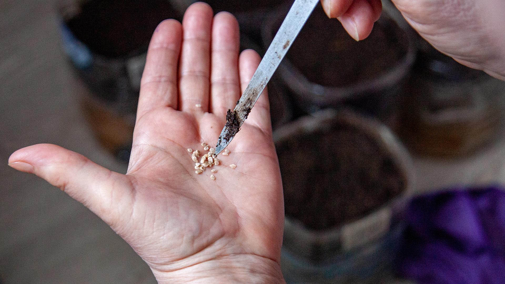 Фото: Oksana Korol globallookpress.com