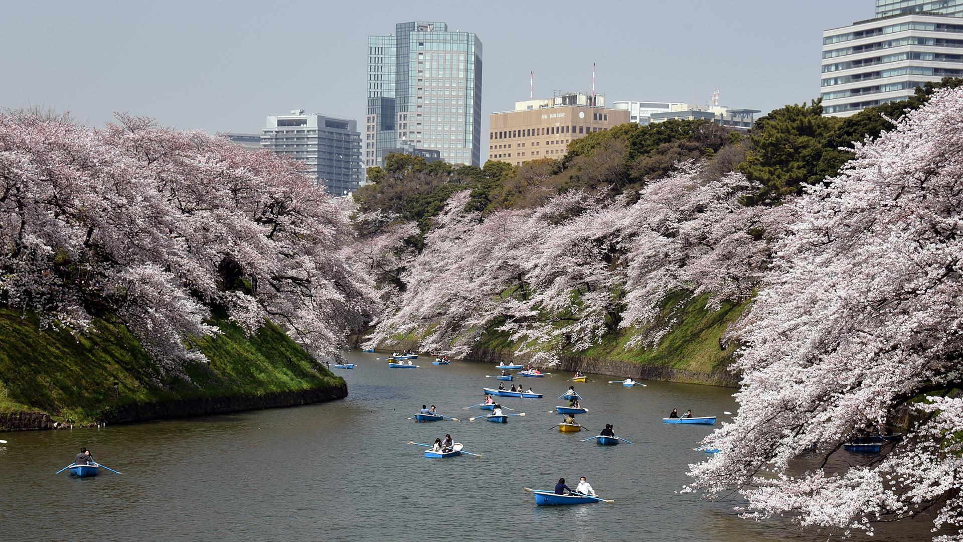 Фото: Natsuki Sakai globallookpress.com