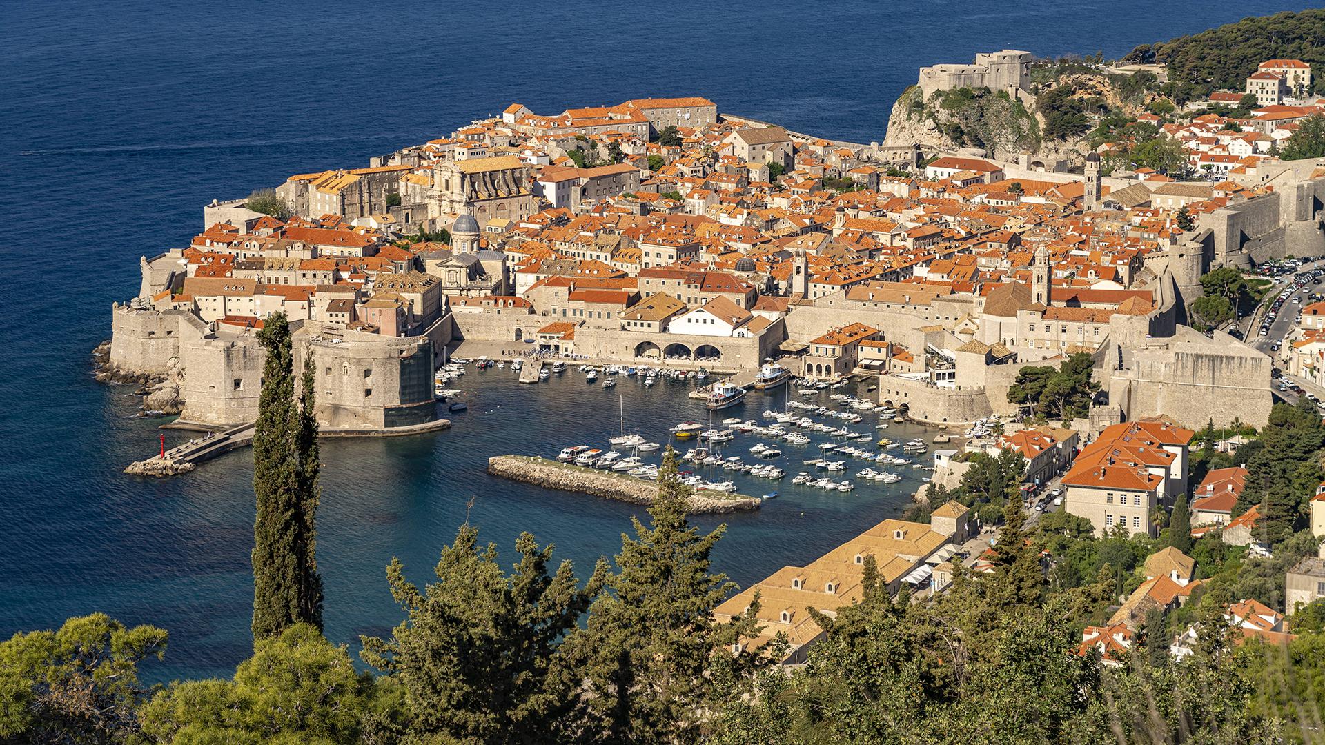 Фото: IMAGO Peter Schickert globallookpress.com