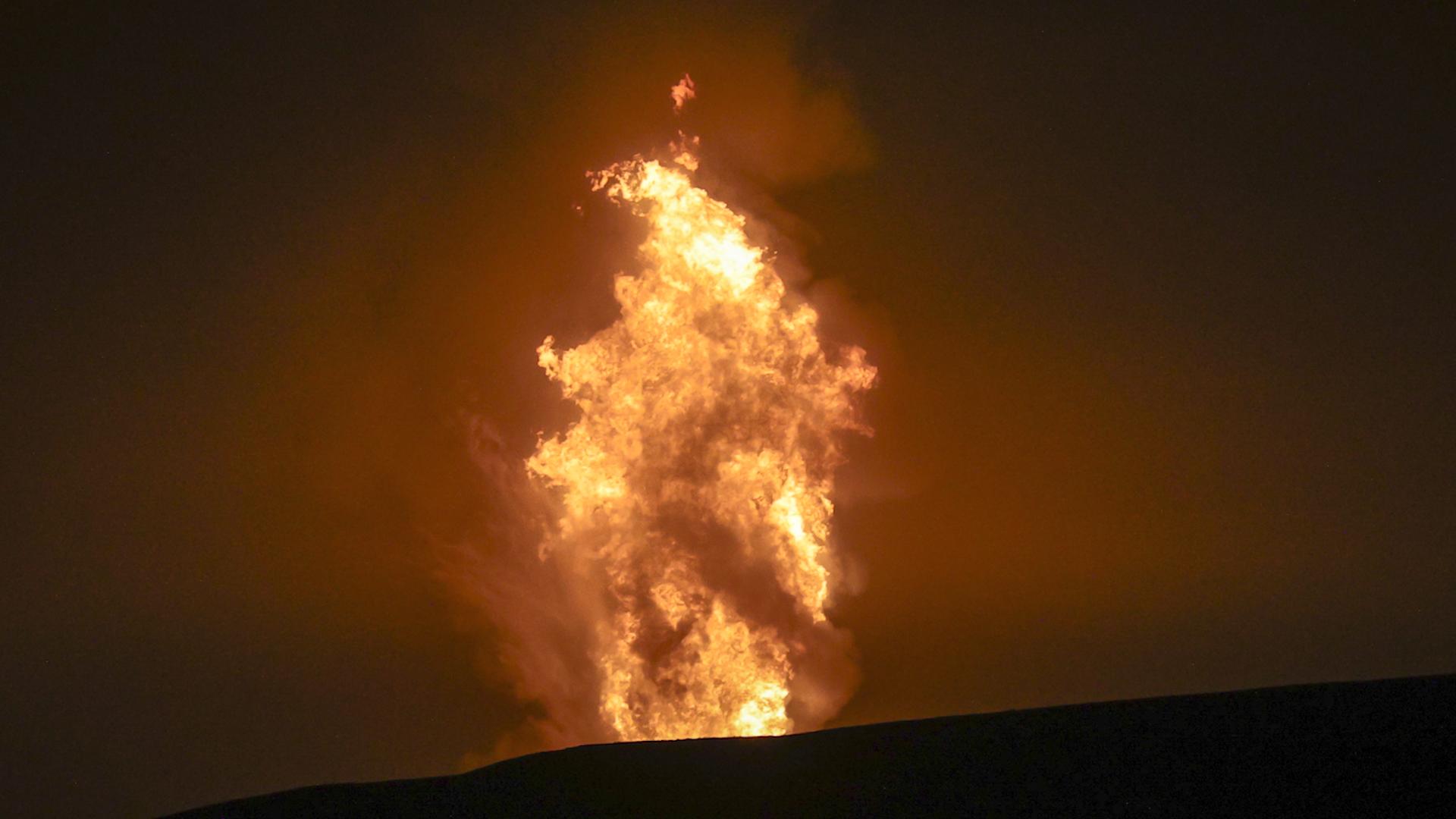 Фото: Bulkin Sergey globallookpress.com