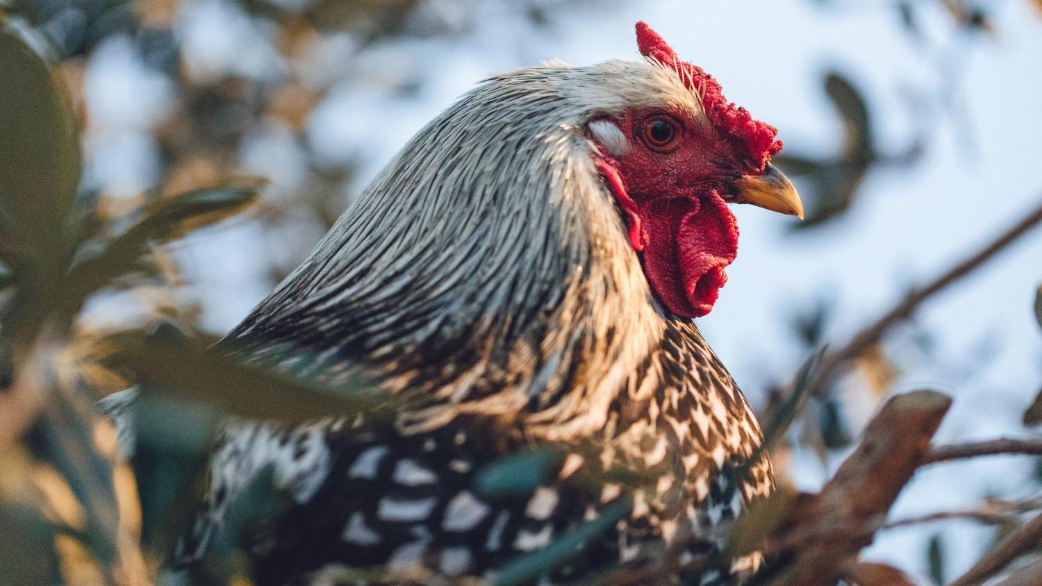 Фото: freepik.com