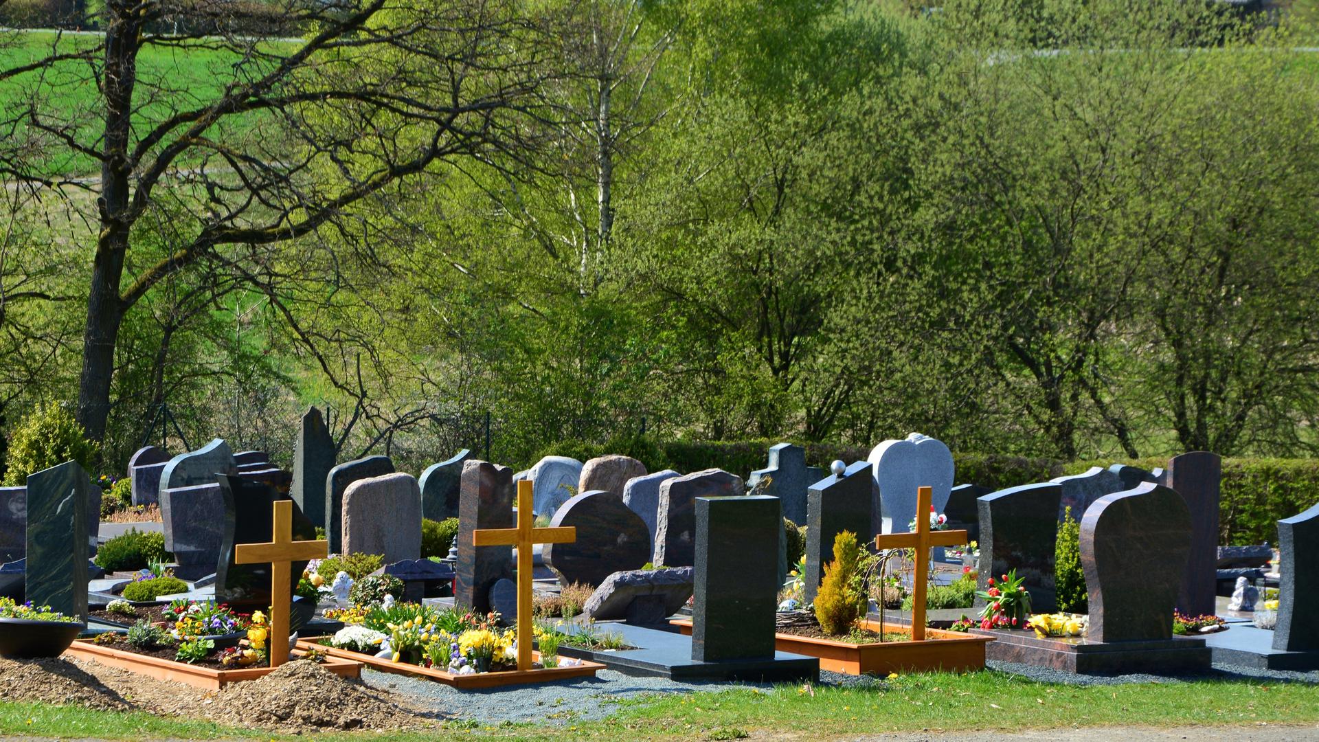 Фото: pixabay.com