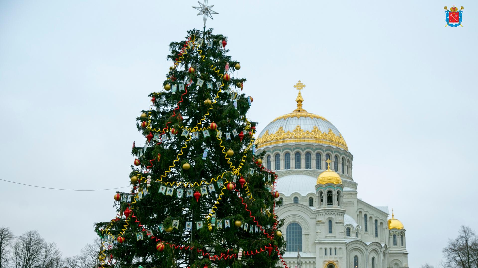 Фото: vk.ru spb