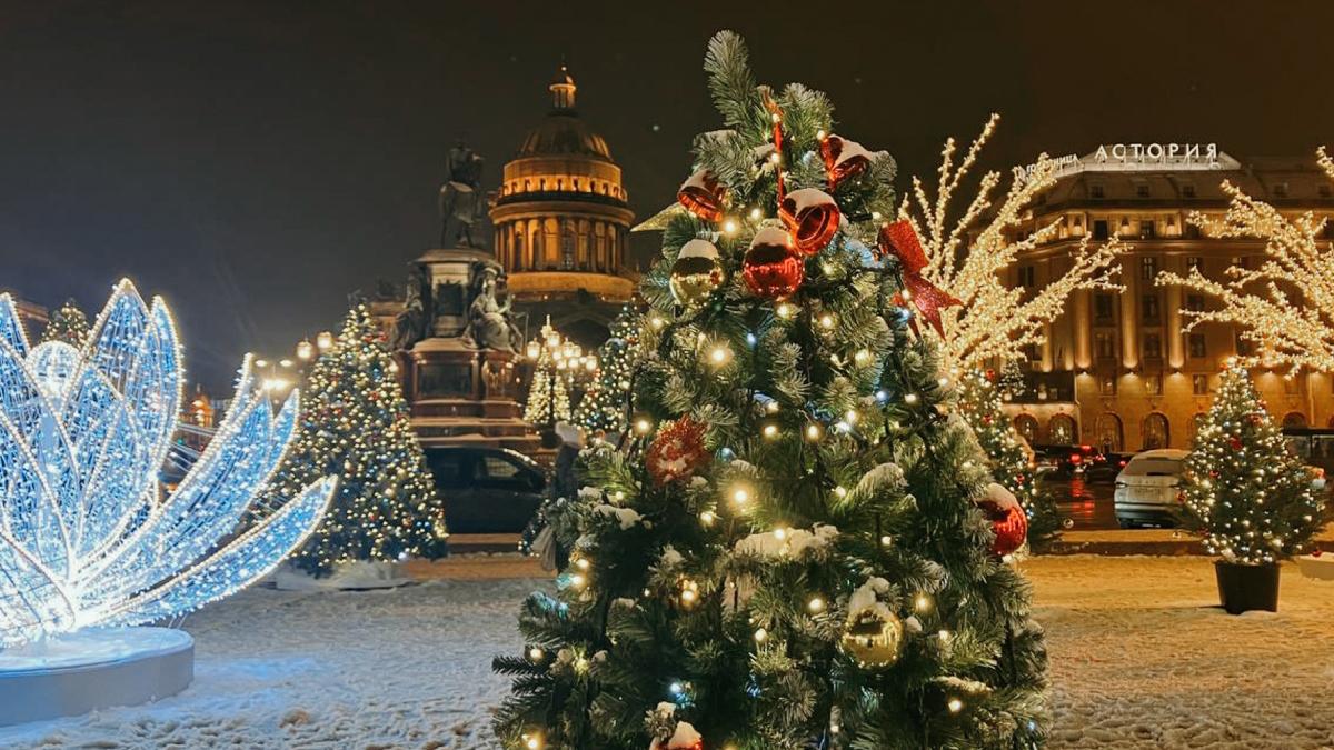 Фото: vk.ru spb