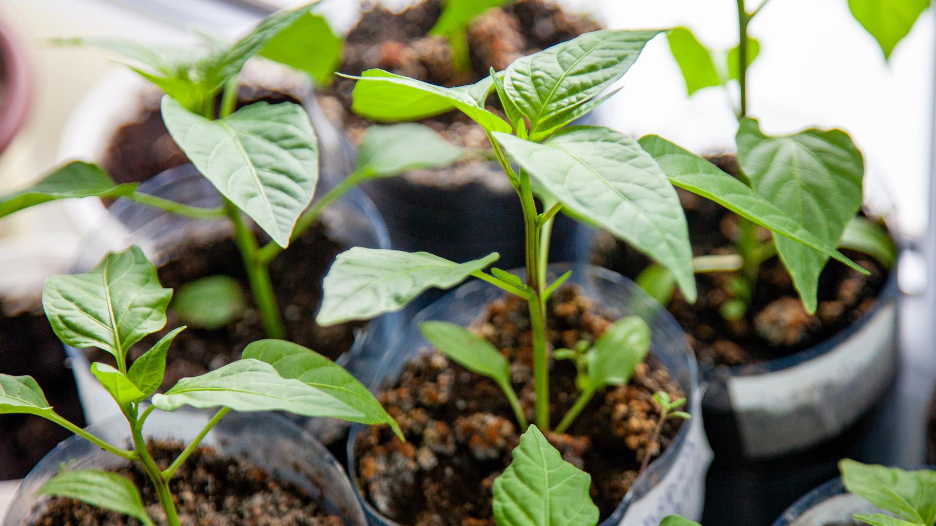 Фото: Oksana Korol globallookpress.com