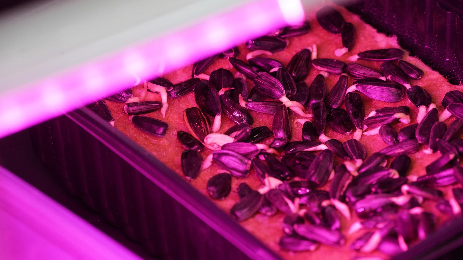 Фото: ИЗВЕСТИЯ Сергей Лантюхов