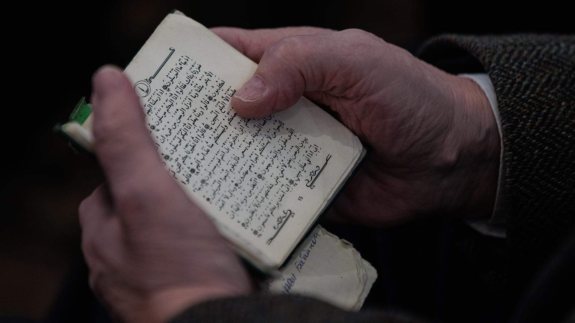 Фото: Sergey Elagin globallookpress.com