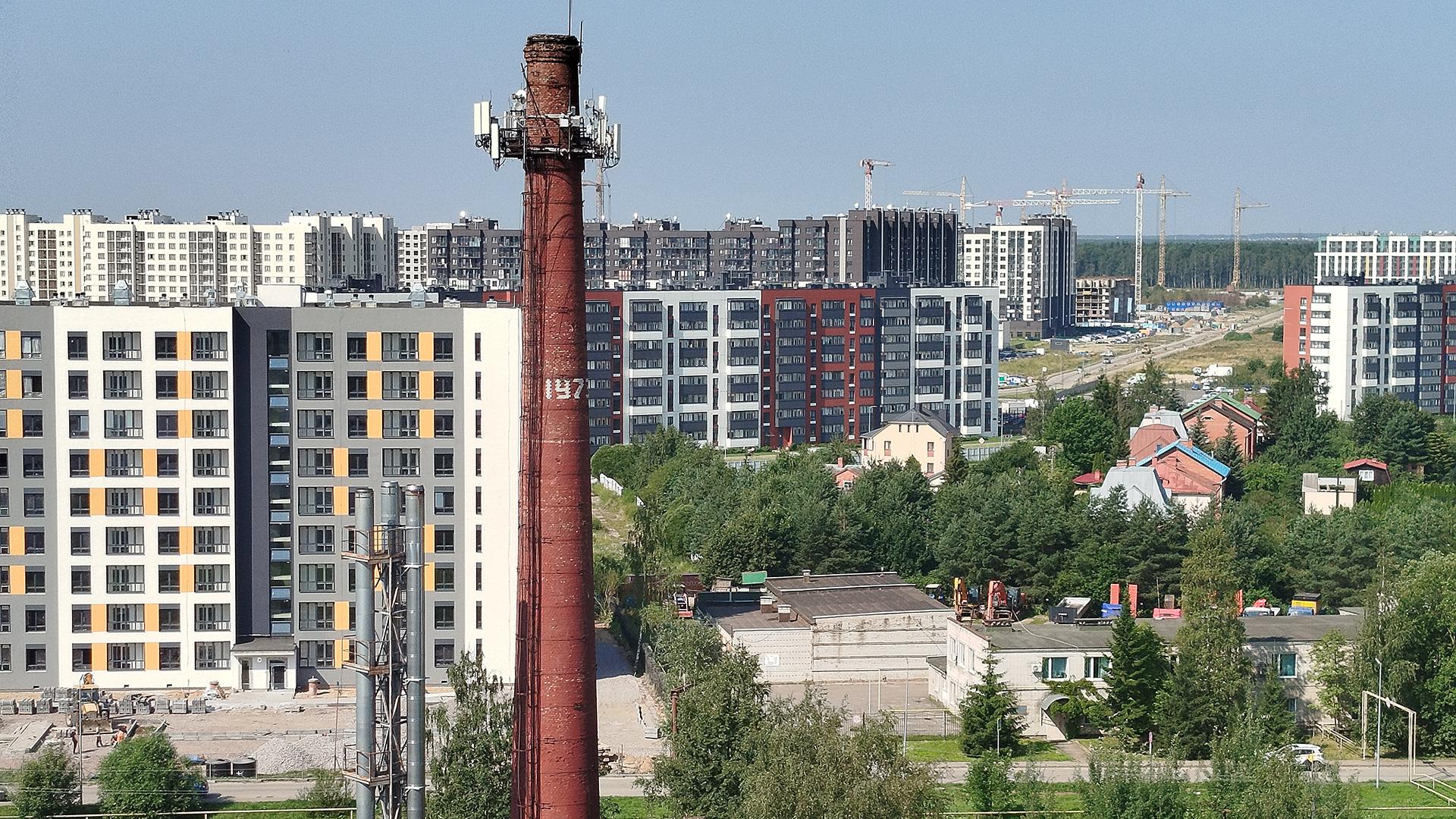 Новоселье  Фото: wikimedia.org Favasurko; CC BY-SA 4.0